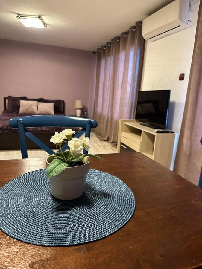 Вила Николета Hotel Sveti Vlas Bagian luar foto